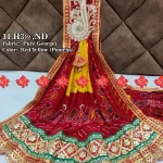 RANISAITYA CREATION Broach Odhna