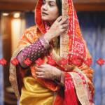 aara tari hand tied odhna