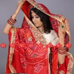 Shop Handpicked Aaratari Marwari Odhna Best For Mayra : Top 5 Collections Of Odhna