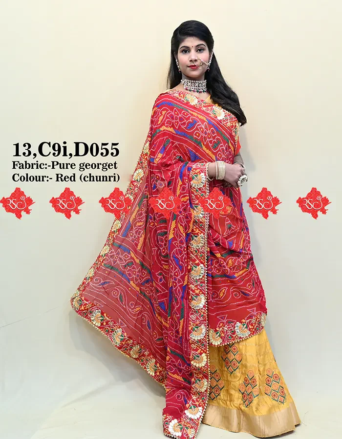 Ranisatiya Vibrant Colourful Dupatta In Pure Georgette/Ghatchola Fabric