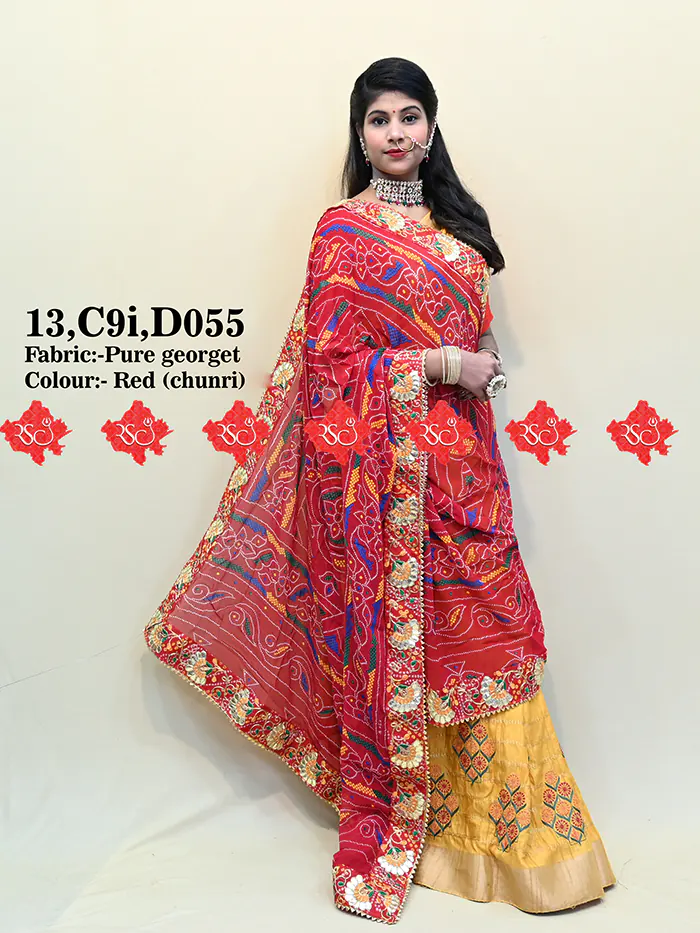 Ranisatiya Vibrant Colourful Dupatta In Pure Georgette/Ghatchola Fabric