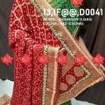 Top 1 Unique Banarasi Ojariya Dupatta for Wedding – Ranisatiya Creation , D0041 , RED-OJARIYA