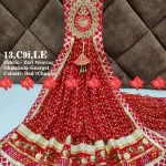 Top 5 Stunning Marwadi odhna Zari Weaving
