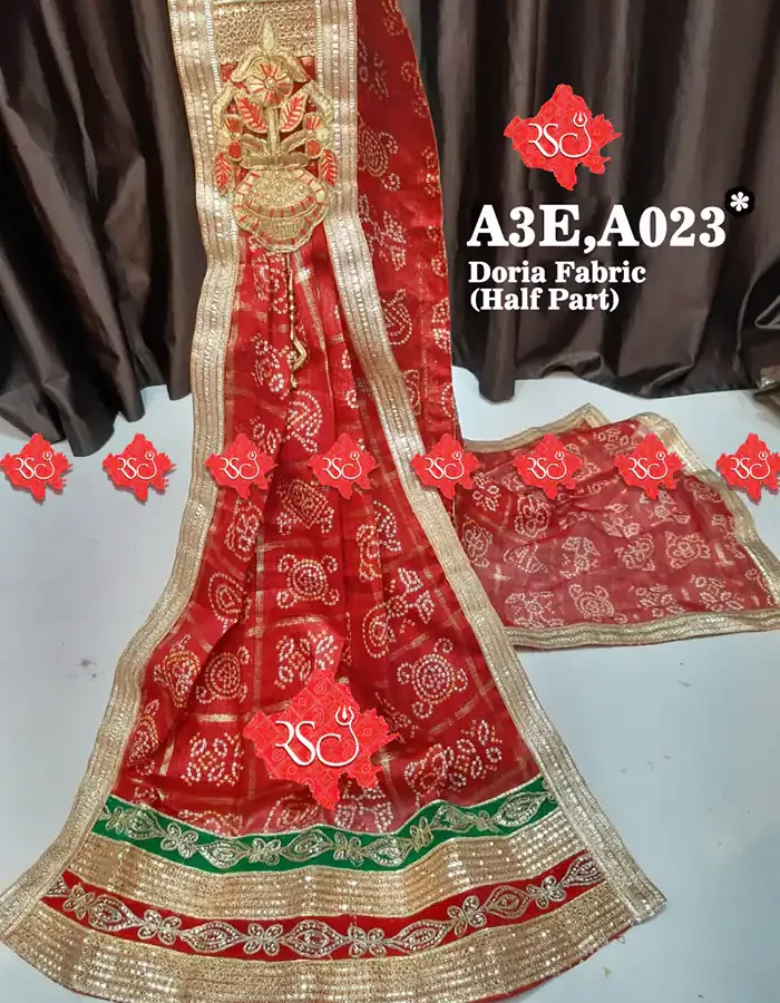 Half Part Doria chunri Odhna Designs an Effortlessly Elegant Look 7 Stunning