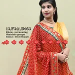 Top 5 Stunning Marwari Zari Woven Odhna - Ranisatiya Creation , 13-D053 , RED-CHUNRI