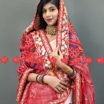 Soft & Lightweight Exclusive Pure Georgette Dupatta for Women (1)