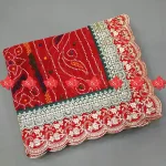 Festive Look Perfected with Designer Georgette Odhna Charm No-1 Choice