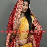 Festive Look Perfected wElegant Georgette Odhna Charm No-1 Choice