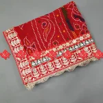 Festive Look Perfected wElegant Georgette Odhna Charm No-1 Choice
