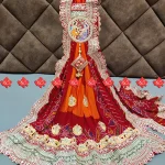 Ranisatiya Creation Buy Designer Pure georgette fabric broach odhna Unique and Elegance with 3 Butti