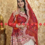 Ranisatiya Creation Buy Designer Pure Georgette Designer Broach Odhna Unique and Elegance with 3 Butti