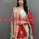 Ranisatiya Creation Buy Designer Buy Georgette Fabric Broach Odhna Unique and Elegance with 3 Butti