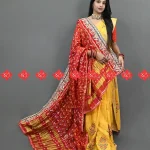 Top 5 Stunning Traditional Ghatchola Fabric Dupatta Ranisatiya Creation
