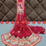Royal look odhna Broach Work Ranisatiya Creation Beautiful Buy R-Georgette