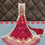 Broach Work Dupatta Ranisatiya Creation Beautiful Buy R-Georgette