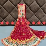 Festive Wear Odhna Broach Work Ranisatiya Creation Beautiful Buy R-Georgette