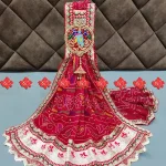 Stylish Broach Dupatta Ranisatiya Creation Beautiful Buy R-Georgette Fabric