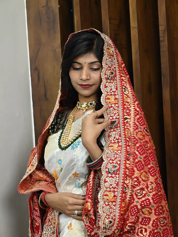 Exclusive Designer Khaddi Georgette Meenakari Work Odhna For Events Look Traditional Look