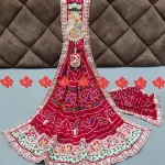 Exclusive Pure Georgette Odhna Shine with Sophistication in a Premium Broach Work Odhna (1)