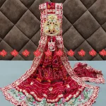 Exclusive Designer Pure Georgette Odhna – Elegant Ethnic Fashion Collection