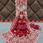 Elegant Rajasthani Bridal Odhna with Broach Embroidery