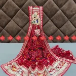 Premium Pure Georgette Odhna – Designer Ethnic Wear